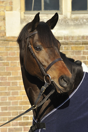 This image is the property of Eva Zielinska-Milla and cannot be copied or reproduced.