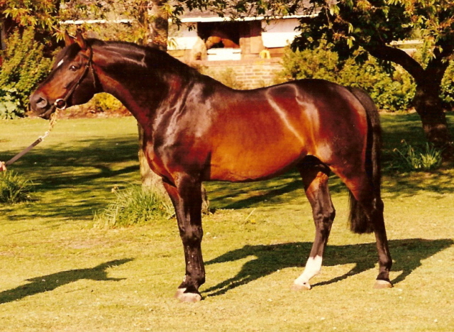 Holme Grove Istanbul